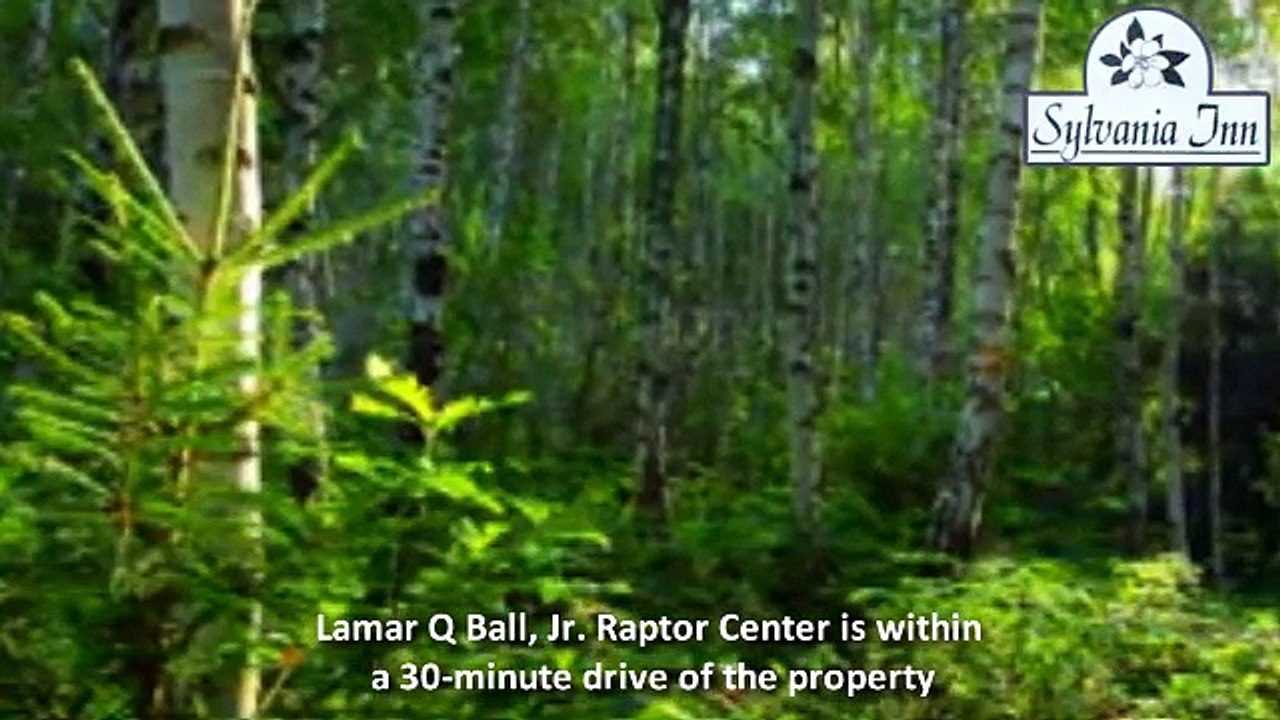 Sylvania Inn, Hotel in Sylvania GA, Downtown Sylvania Hotel