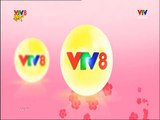 VTV Đà Nẵng - VTV8 ident tết 2016