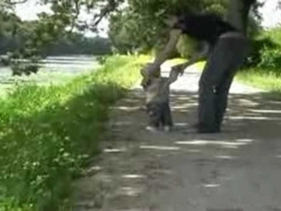 Raphaël à Guenrouët
