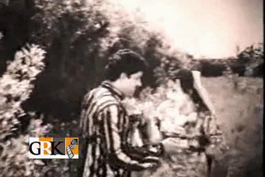 MAIN JANGLI KABOOTRI - CHAN SAJNA