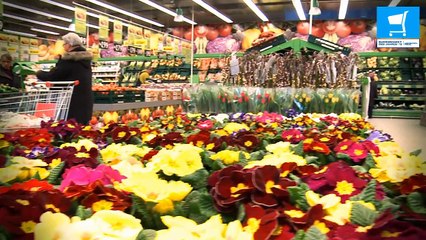 Kaufland in Berlin Romain-Rolland-Str. 25