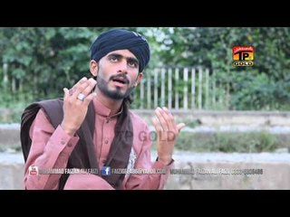 Ali Moula - Muhammad Faizan Ali Faizi - New Naat 2016
