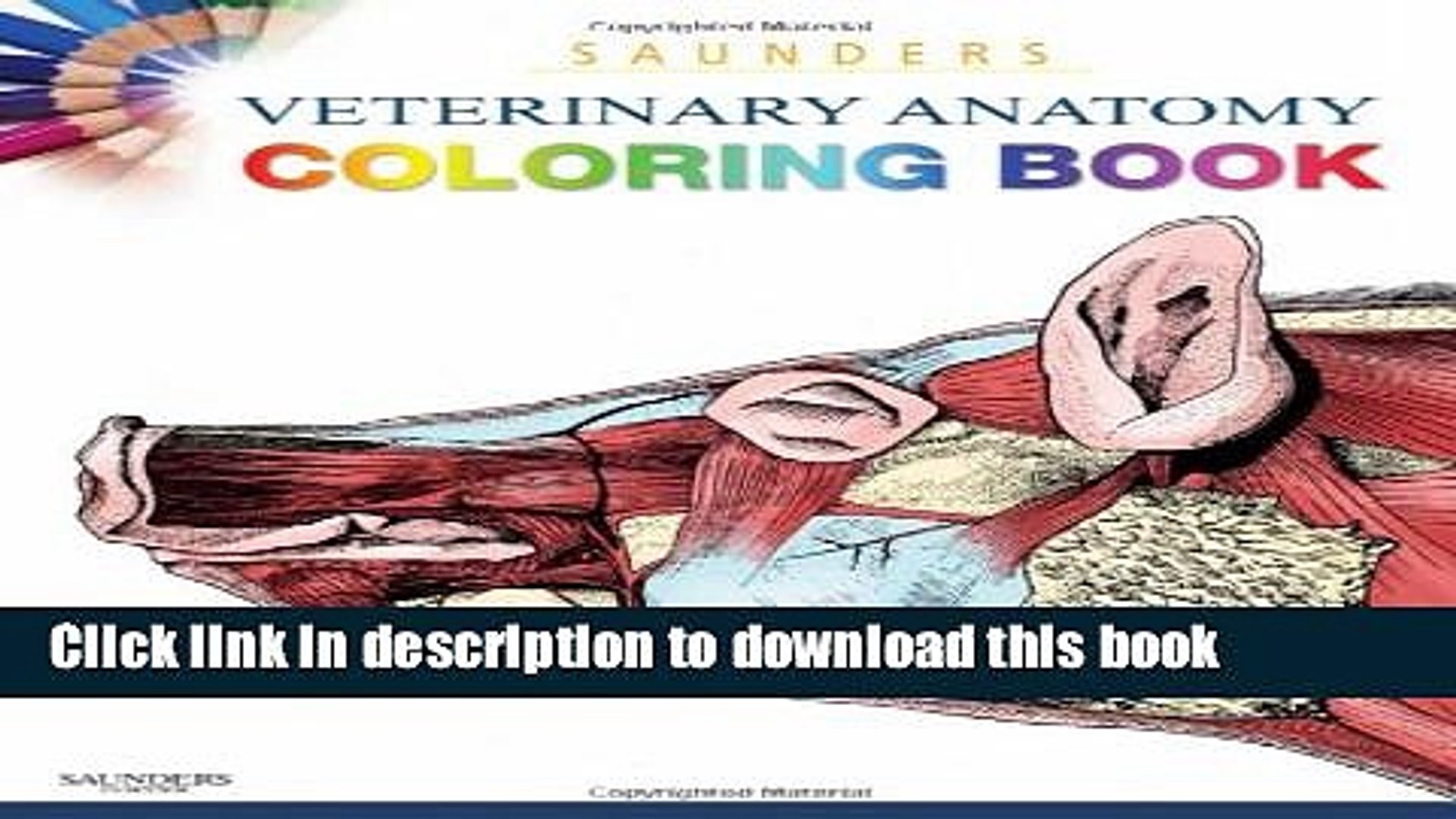 Download Ebook Saunders Veterinary Anatomy Coloring Book 1e Free Online Video Dailymotion