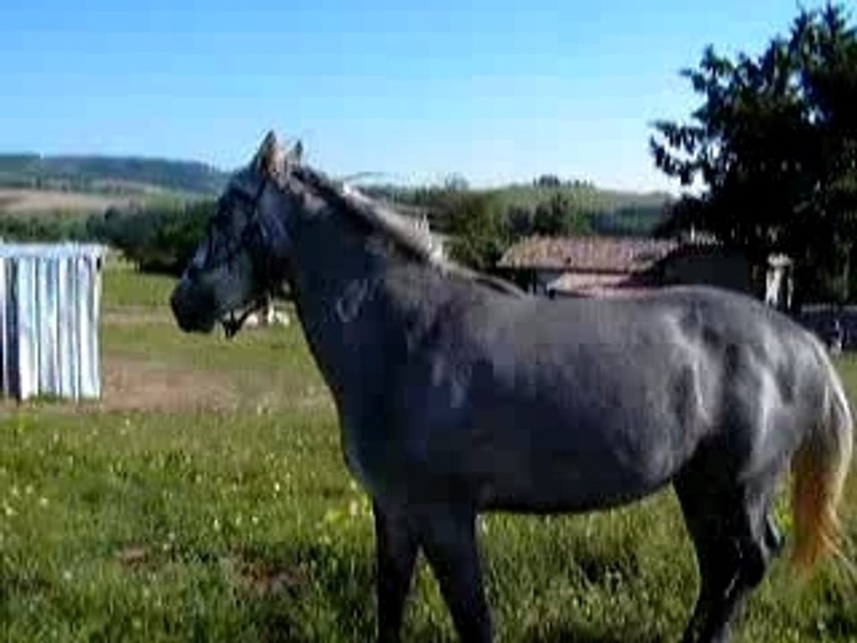 KIF_6515