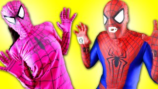 Spiderman Vampire vs Pink Spidergirl Dracula vs Batman w\ Frozen Anna Superhero Fun