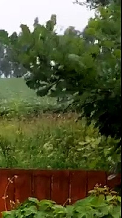 Vea la enorme bola de fuego que alumbró parte del cielo de Siberia