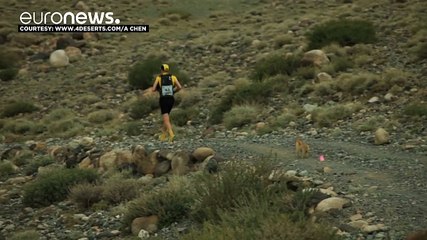 Gobi: l'atleta australiano Dion Leonard vuole adottare la cucciola
