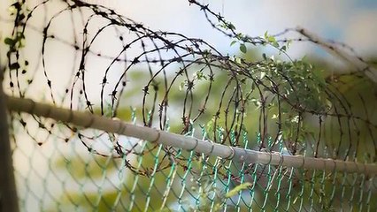 Top 5 des îles les plus flippantes