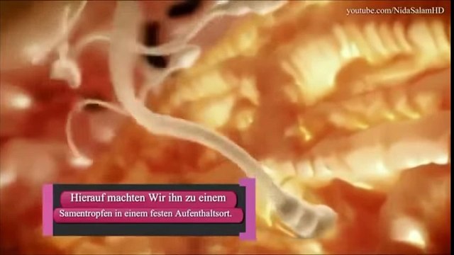 Beweis das ISLAM die Wahrheit ist !!!