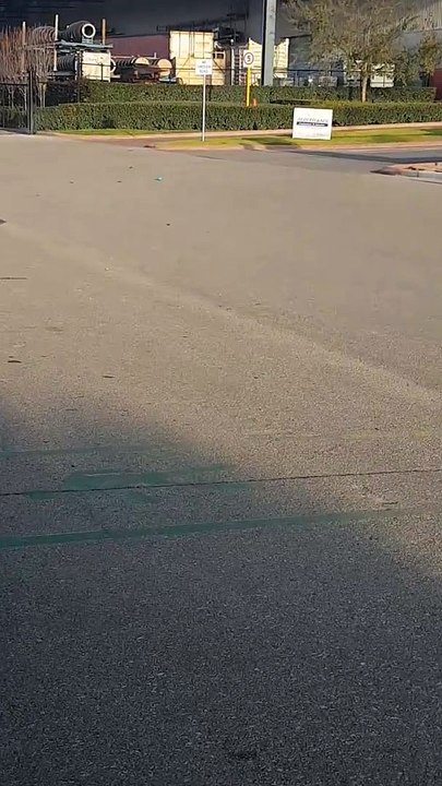 Crow Plays with a Blue Ball