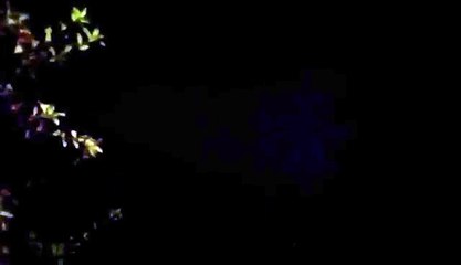 Rikthehen reshjet e shiut dhe vetëtimat në Tetovë