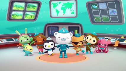 Octonauts: Creature Report - Lemon Sharks