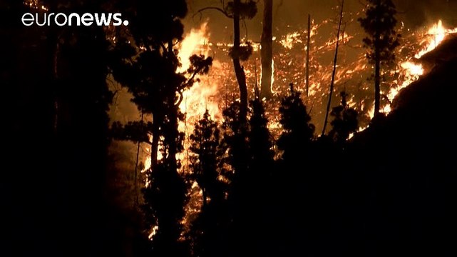 На канарском острове Пальма из-за пожаров эвакуированы 2500 человек