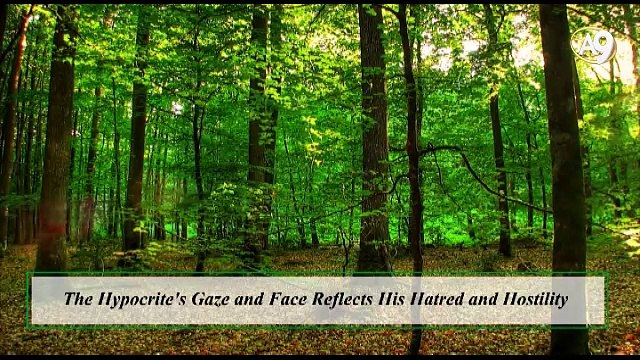 The Hypocrite's Gaze and Face Reflects His Hatred and Hostility