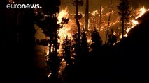 Canarie: brucia carta igienica, in fiamme 4mila ettari di vegetazione a La Palma