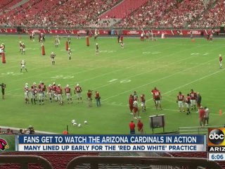 Fans get to watch the Arizona Cardinals in action