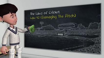 LAW OF DAMAGING THE PITCH IN CRICKET