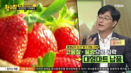 고수의 비법 황금알.E223.160808.1