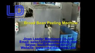 broad bean peeling machine;kacang luas mesin mengupas;broad bean peeler machine video