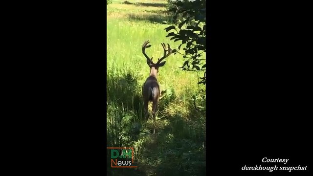 Derek Hough & Hayley Erbert at Yosemite National Park – August 6, 2016 (Snapchat posts)
