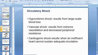 Chapter 19 Blood Vessels Part 4