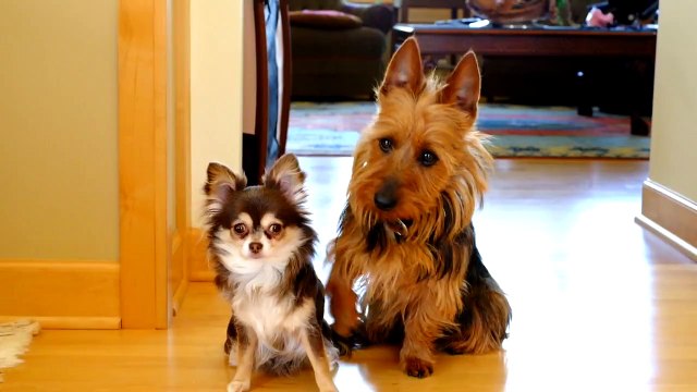 Quand tes potes te font des misères... Compilation de Fail bien drole