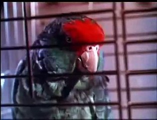 Wisk Laundry Detergent (1971) - Classic TV Commercial