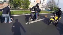 Les motards sont des gars cool... Regardez les sauver ce chien au milieu de la route