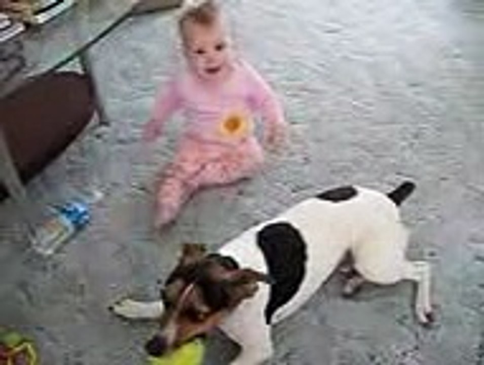 beautiful Funny Video 2016 | Entertainment