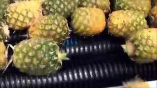 Как делается ананасовый сок/How is pineapple juice done