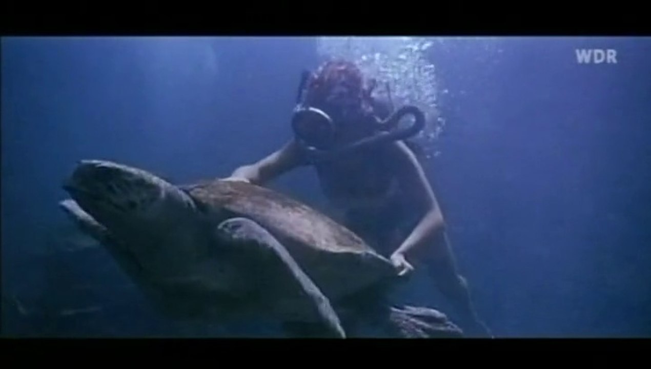 The deadly dive trip - #scuba #lexbarker #vintagescuba