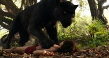 Orman Çocuğu - The Jungle Book (2016) Fragman