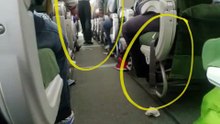 Ethiopian airlines, breaking FAA standards