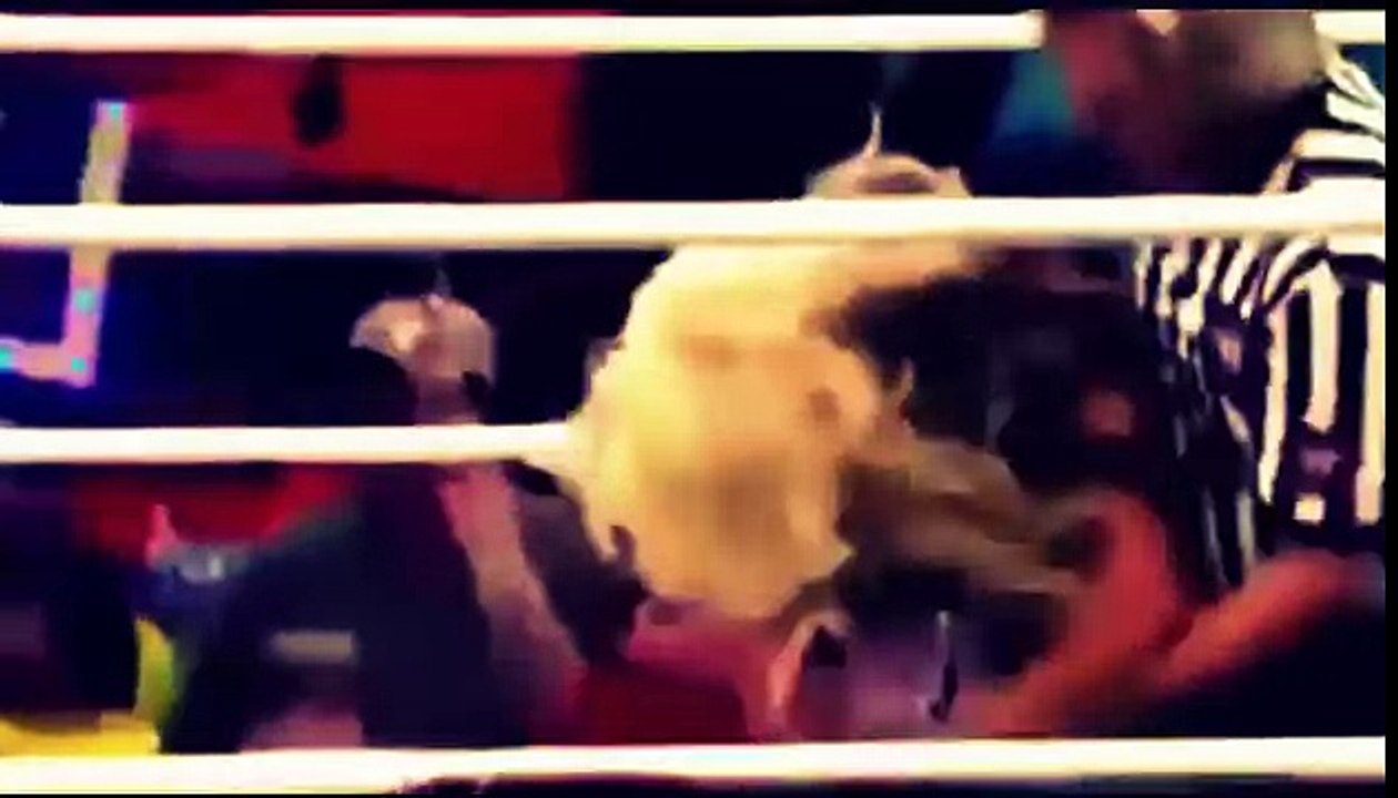 Top 10 wwe Divas Last Matches