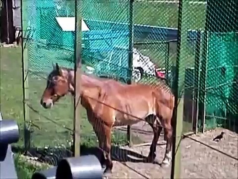 Один день в городе Орле 05.08.2016 город Орёл ( 450 лет городу Орлу )