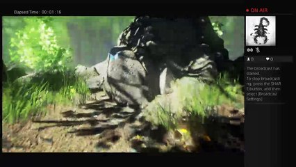 Bulls-Eye-788's Live PS4 Broadcast (3)