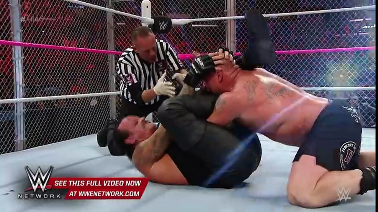 The Undertaker vs. Brock Lesnar - Hell in a Cell Match- WWE Hell in a Cell 2015[by View1TV]
