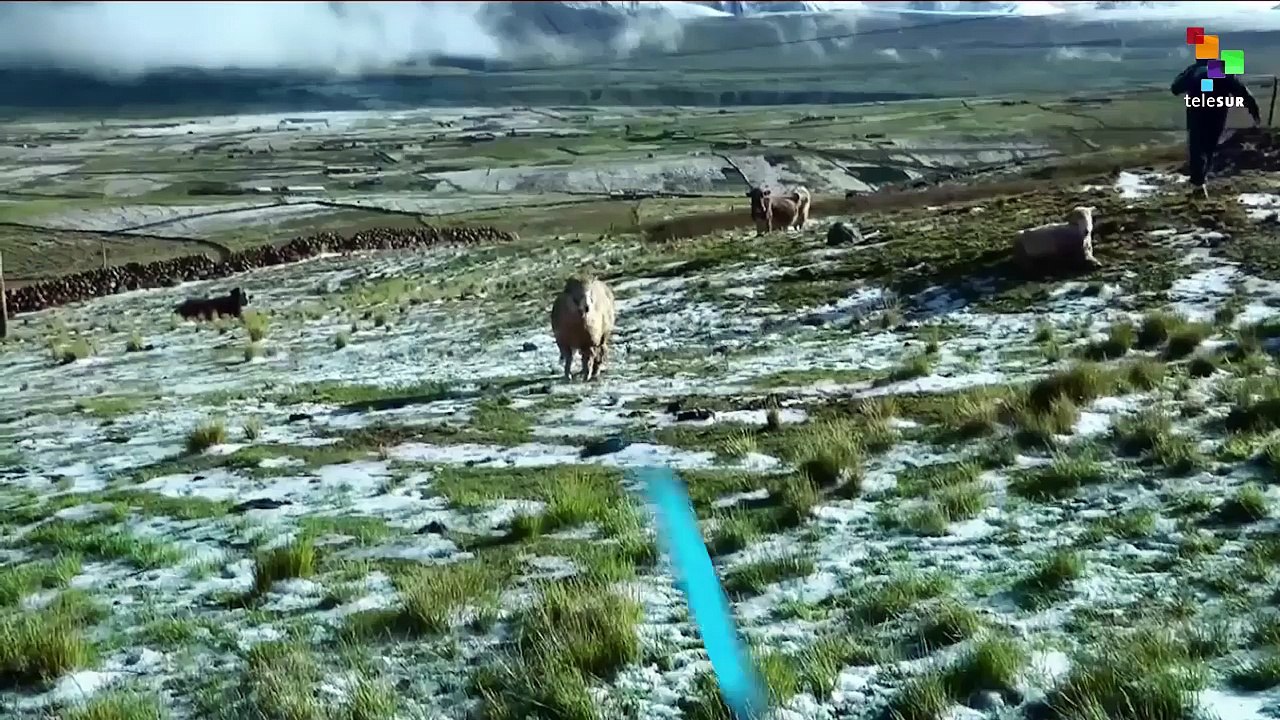 Dead Cold Hits Peruvian Andes