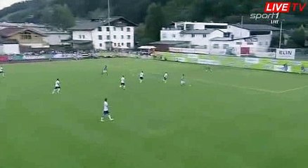 Maxim Choupo-Moting Goal - Schalke 3-1 Fiorentina - 07-08-2016