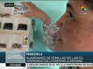 Venezuela defiende la semilla autóctona frente a los transgénicos