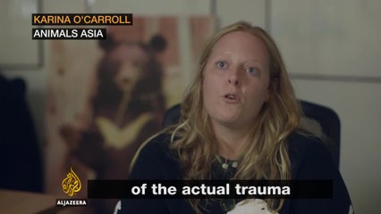 People are outraged over this mall's polar bear theme park