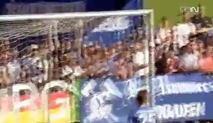 All Goals & Full Highlights - Schalke 3-1 Fiorentina - 07.08.2016 HD