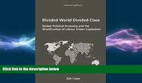 FREE PDF  Divided World, Divided Class READ ONLINE