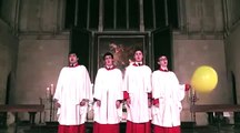 Ce jeune chanteur de chorale a trouver la solution pour monter très très haut! Ahaha tricheur