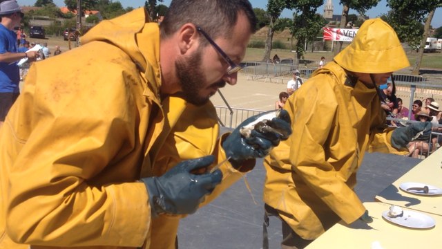 La Fête des gobeurs d'huîtres en images