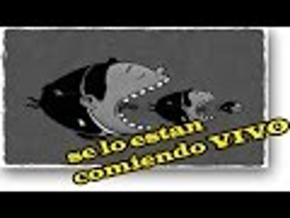 A TUNJA SE LA ESTAN TRAGANDO VIVA nuevo