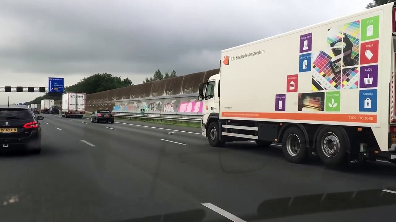 Un pigeon vole sur une autoroute
