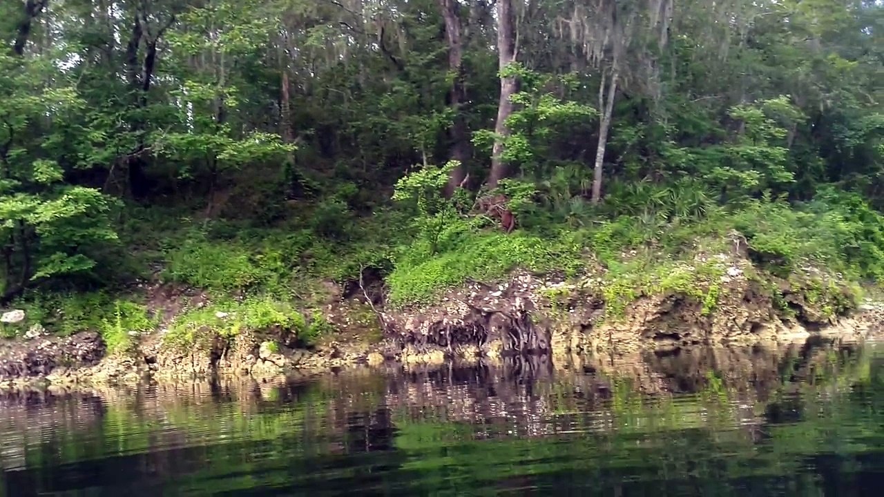 Withlacootchee River...down from Pot Springs.