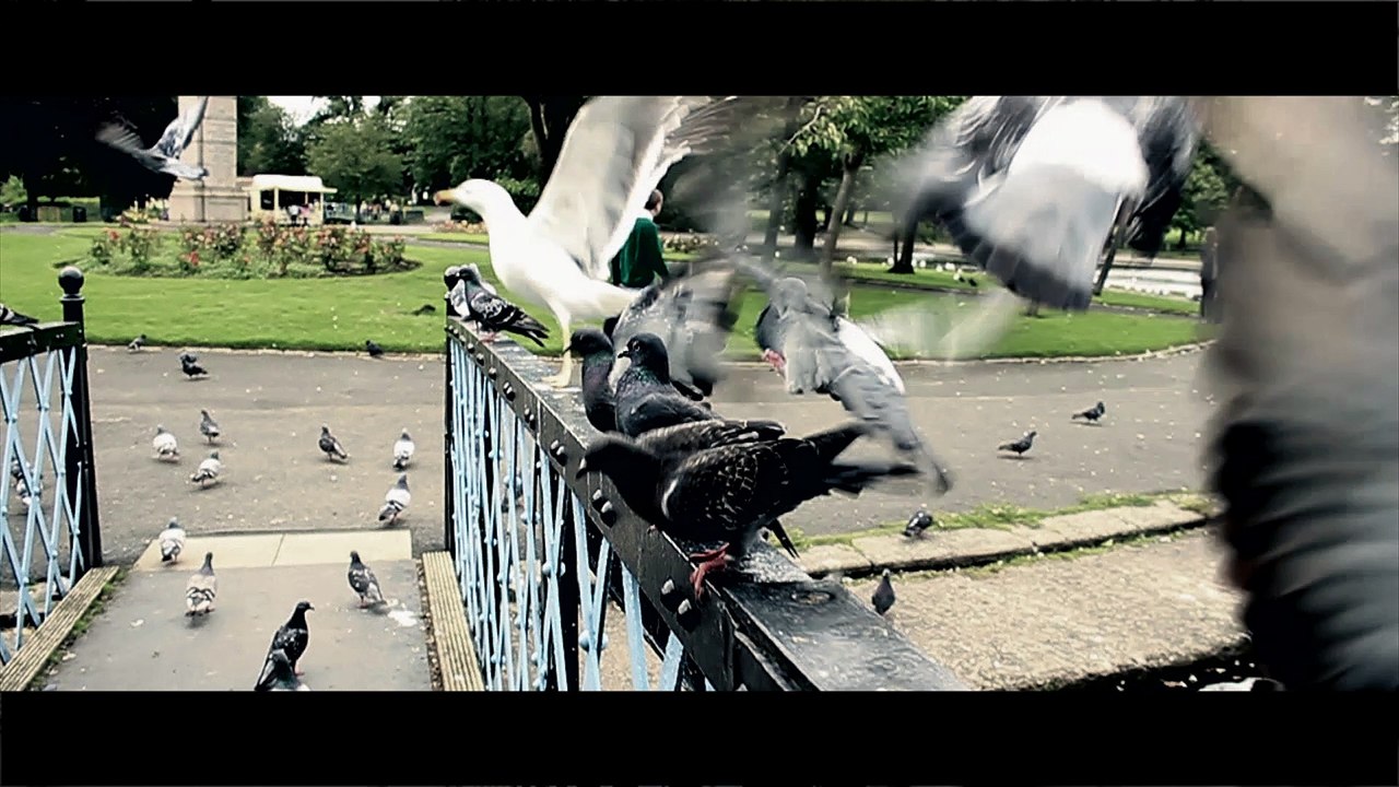 Pete's Day Out