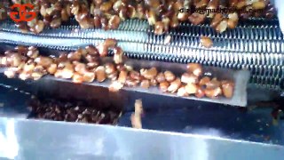 Fava Bean Frying Pipeline| Fava Bean Frying Processing Line